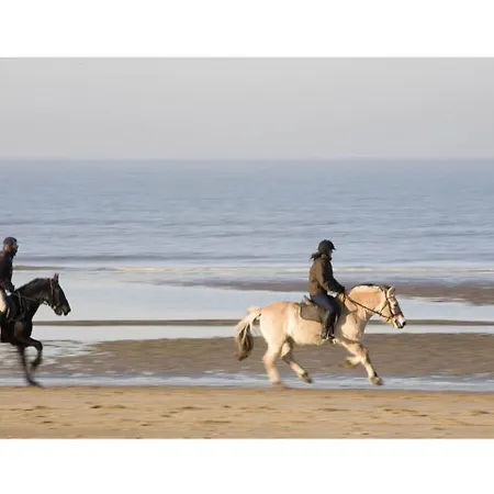 Ferienpark Sunparks - Plopsaland