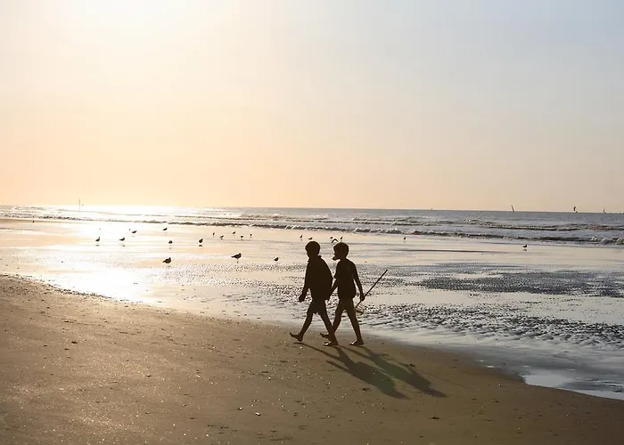 Sunparks - Plopsaland Holiday park