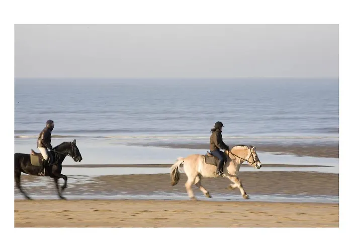 Village de vacances Sunparks - Plopsaland